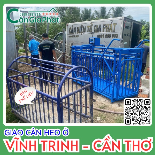 Cân điện tử Gia Phát giao lắp đặt cân heo màu xanh tại Vĩnh Trinh Cần Thơ