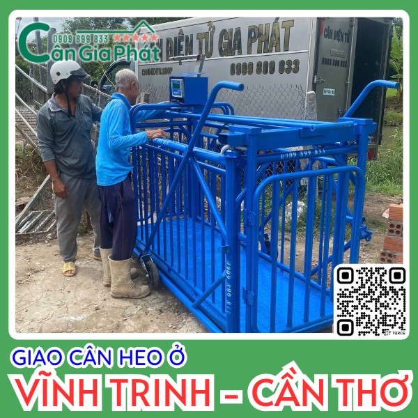 Cân Gia Phát cảm ơn anh Toàn đã mua cân heo 4 con cho trại ở Vĩnh Trinh Cần Thơ