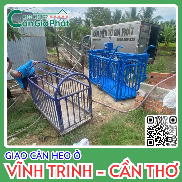 Cân heo điện tử Cân Gia Phát màu xanh lắp đặt ngoài trời tại Vĩnh Trinh Cần Thơ