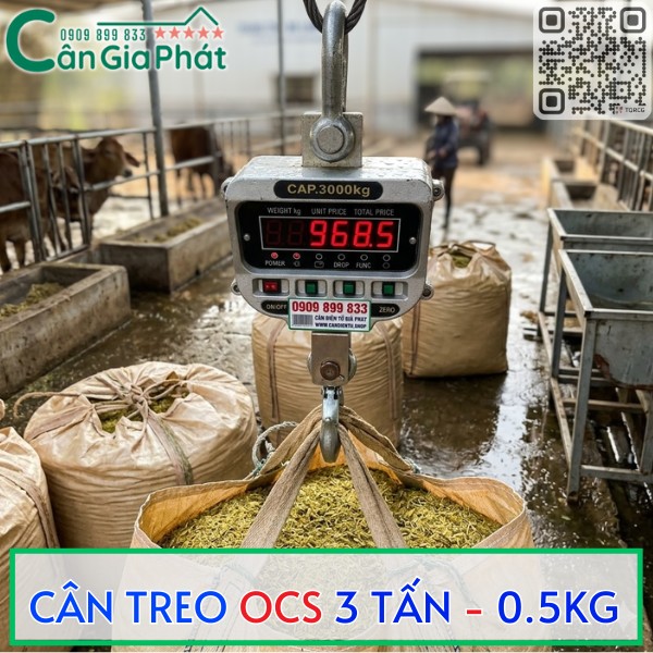 CÂN MÓC CẨU OCS 3 TẤN 5 TẤN 10 TẤN