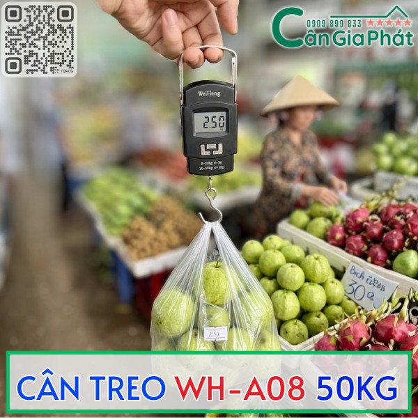 CÂN TREO CẦM TAY WH-A08 50KG