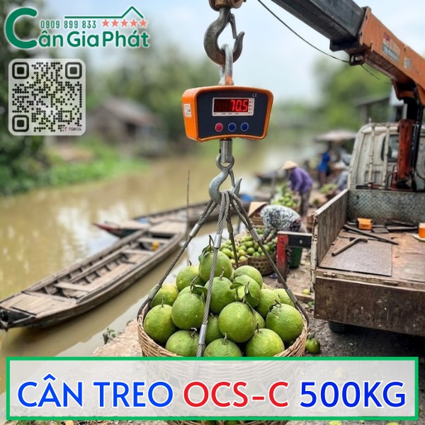 CÂN MÓC TREO OCS-C 500KG