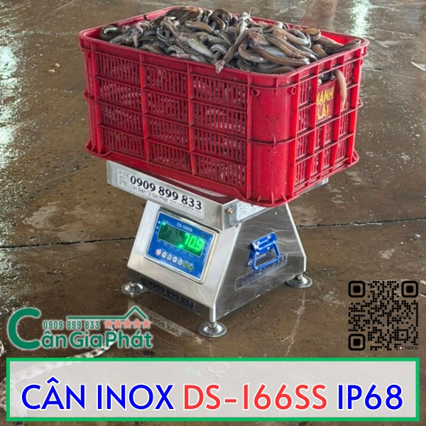 CÂN INOX DS-166SS IP68