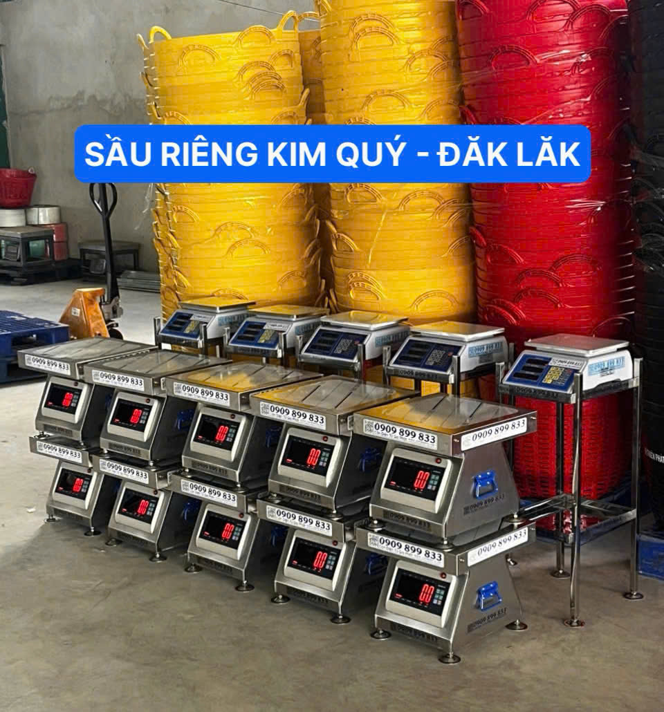 Vựa sầu riêng Kim Quý ở Đăk Lăk - Cân điện tử cân sọt sầu riêng inox XK3190-T7E 300kG