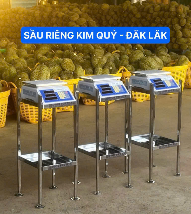 Vựa sầu riêng Kim Quý ở Đăk Lăk - cân điện tử cân trái sầu riêng 30kg có sẵn chân inox cao