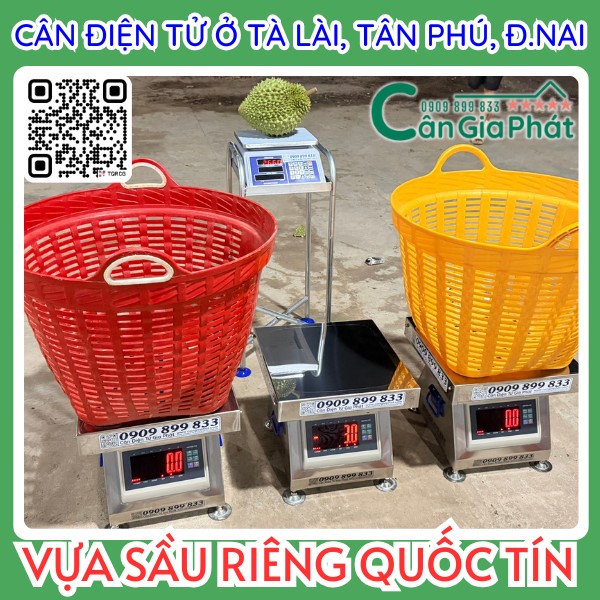 Cân điện tử Cân Gia Phát dùng cân sầu riêng với giỏ nhựa lớn tại vựa sầu riêng Quốc Tín