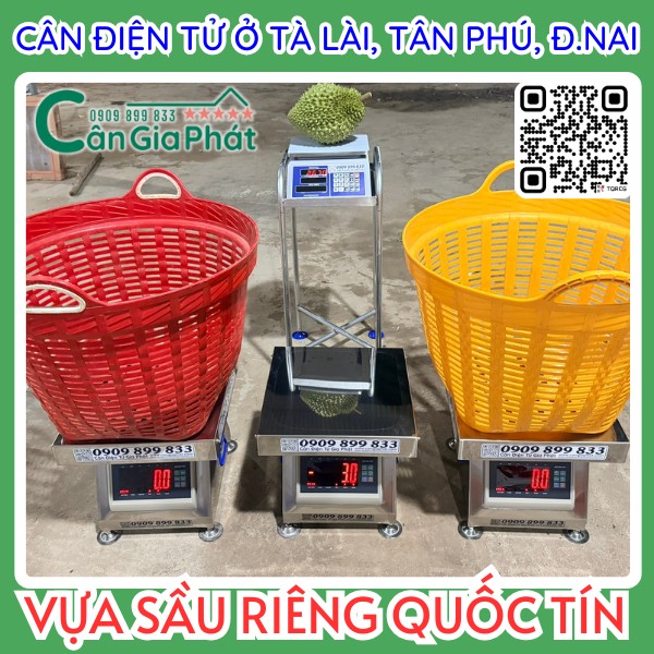 Cân điện tử Cân Gia Phát cân sầu riêng và giỏ nhựa lớn tại vựa sầu riêng Quốc Tín