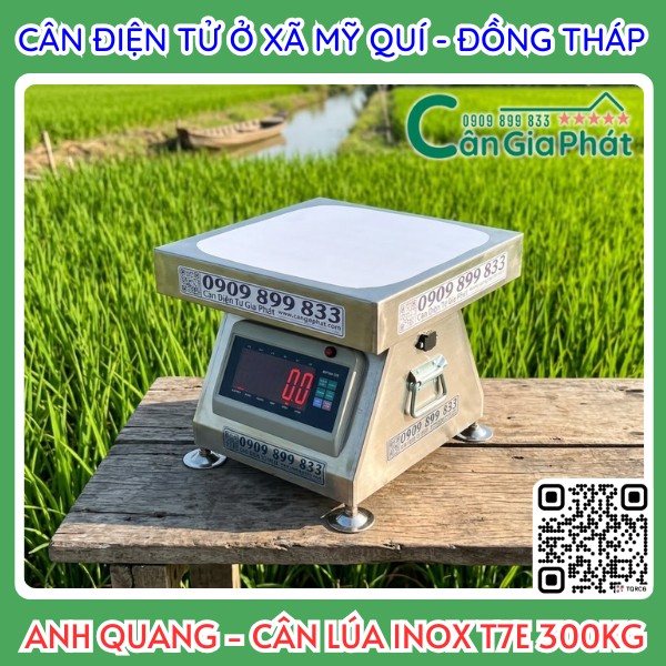 Cân điện tử cân lúa 300kg ở Mỹ Quí Đồng Tháp - cân lúa 300kg số đỏ giao anh Quang