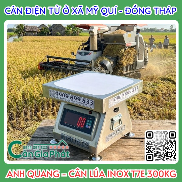 Cân điện tử cân lúa XK3190-T7E 300kg giao anh Quang ở Mỹ Quí Đồng Tháp