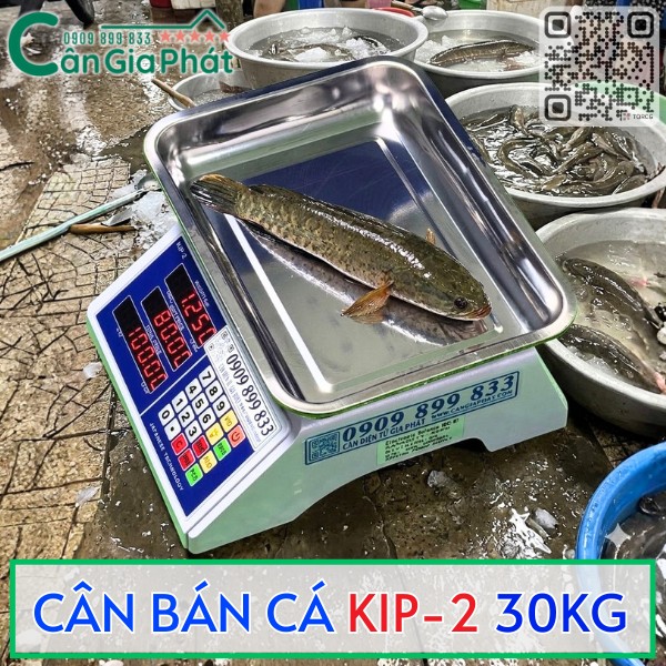 CÂN BÁN HẢI SẢN KIP-2 30KG