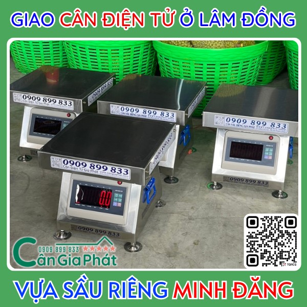 Giao cân điện tử cân sầu riêng XK3190-T7E inox 300kg cho vựa sầu riêng Minh Đăng ở Lâm Đồng