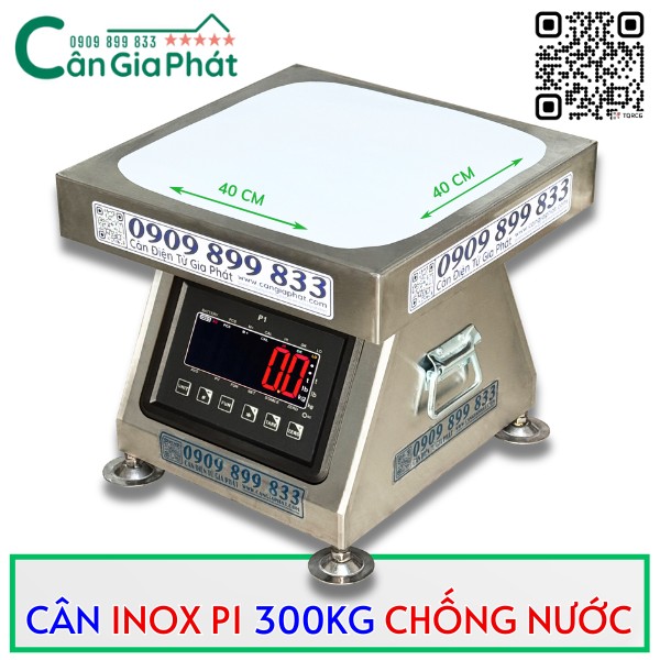 CÂN INOX P1 LIỀN KHỐI