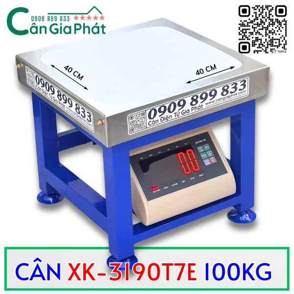 CÂN ĐIỆN TỬ T7E DẠNG GHẾ