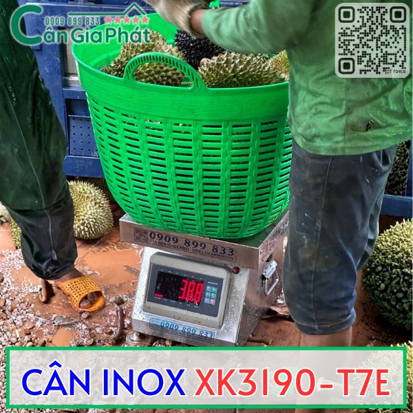 CÂN XK3190-T7E INOX LIỀN KHỐI