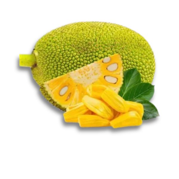 Vật liệu nhựa và sản phẩm công nghiệp