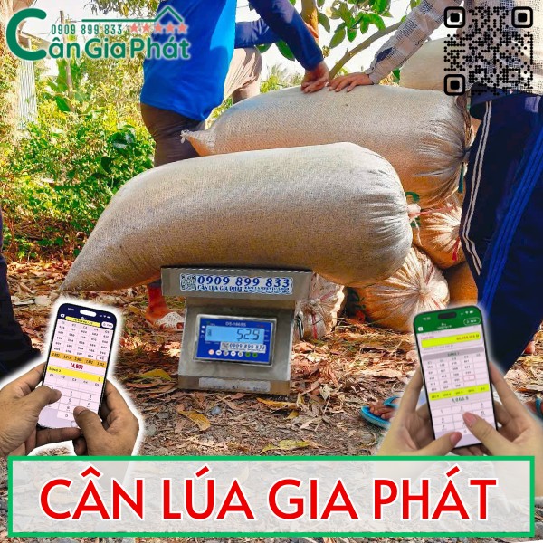 Cân lúa Gia Phát 200kg 300kg 500kg inox chống nước