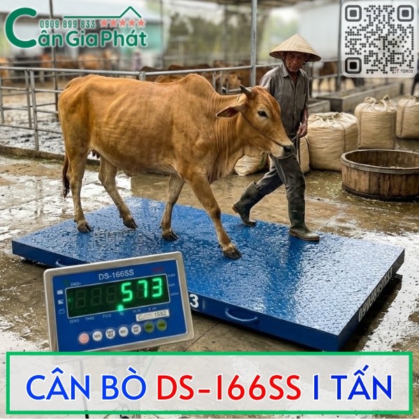CÂN BÒ DS-166SS 2 TẤN