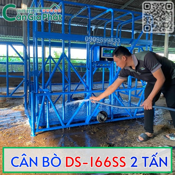 CÂN BÒ DS-166SS CẢM BIẾN TRÊN 2 TẤN