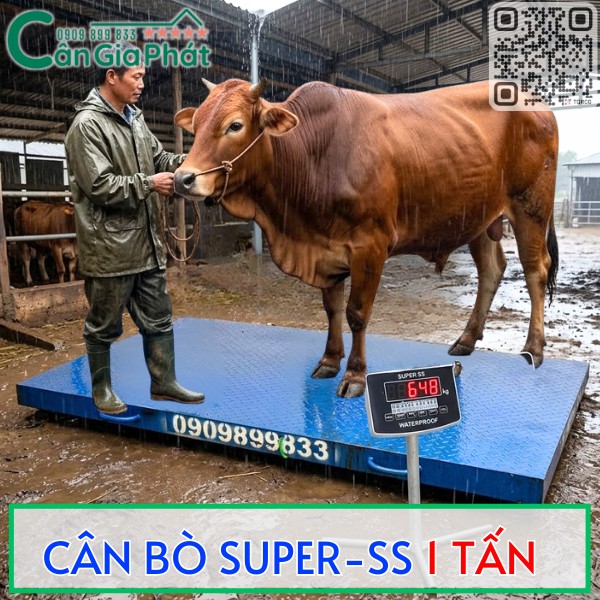 CÂN BÒ SUPER-SS 1 TẤN