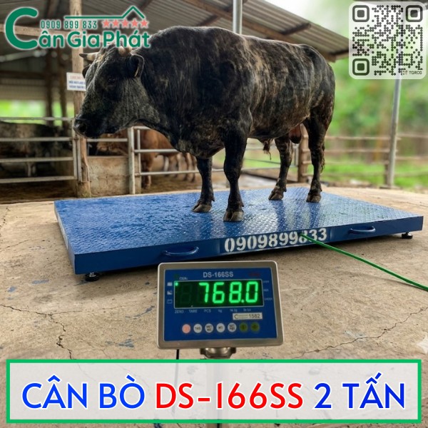 CÂN BÒ DS-166SS 2 TẤN