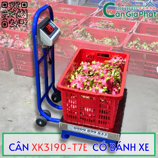 CÂN BÀN XK3190-T7E CÓ BÁNH XE