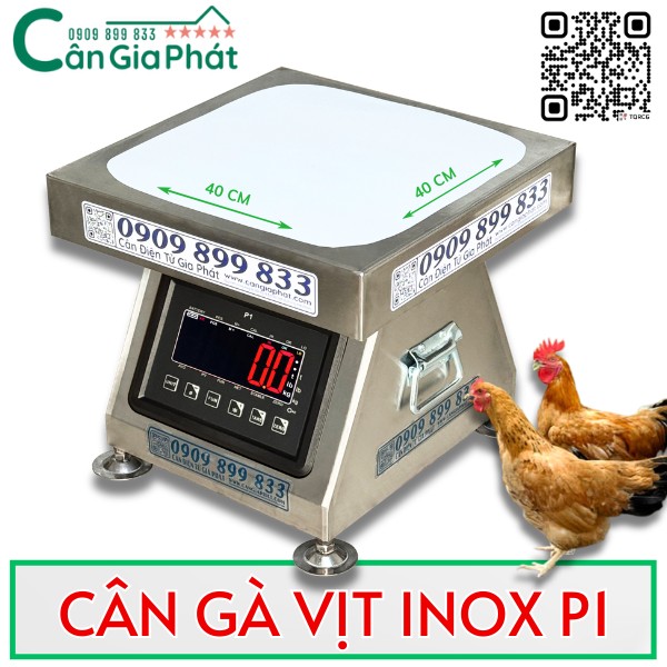CÂN ĐIỆN TỬ CÂN GÀ VỊT INOX P1 300KG CHỐT SỐ NHANH