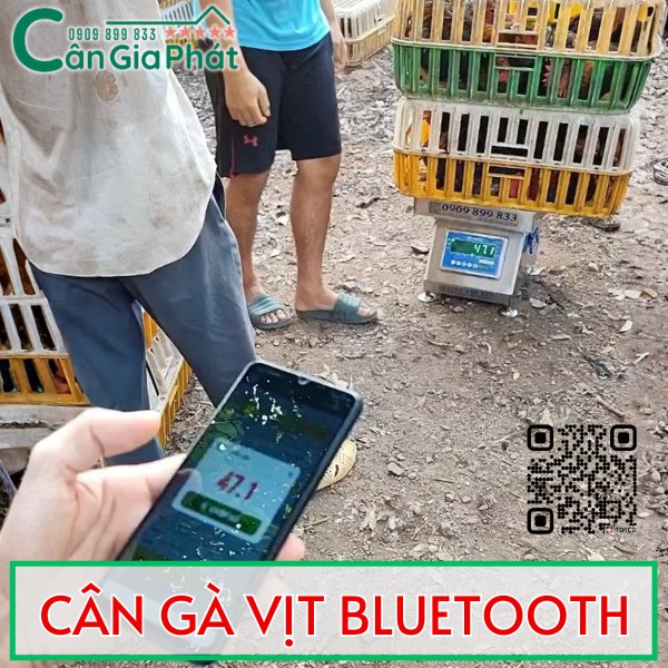 CÂN ĐIỆN TỬ CÂN GÀ VỊT DS-166SS TỐT NHẤT HIỆN NAY