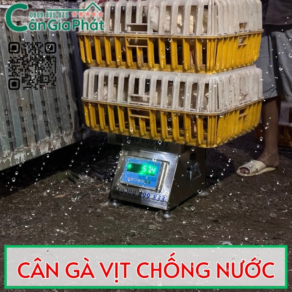 CÂN ĐIỆN TỬ CÂN GÀ VỊT DS-166SS TỐT NHẤT HIỆN NAY