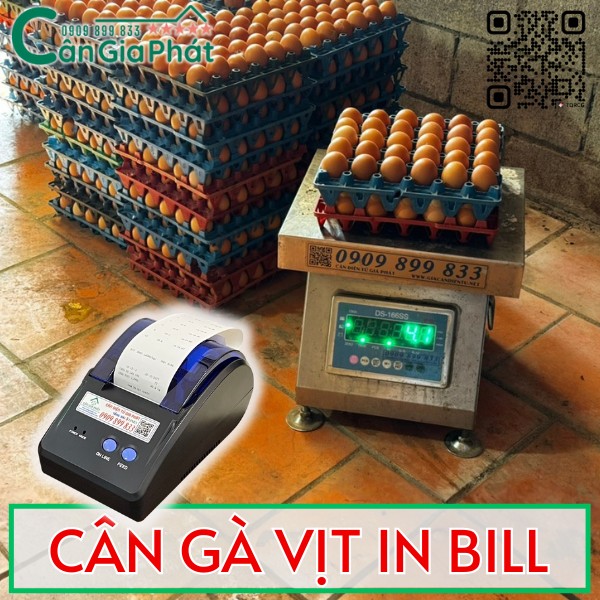 CÂN ĐIỆN TỬ CÂN GÀ VỊT DS-166SS TỐT NHẤT HIỆN NAY