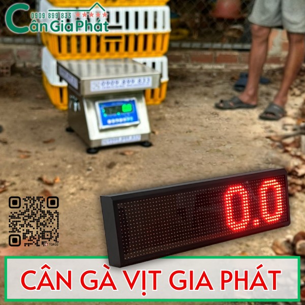 HƯỚNG DẪN KẾT NỐI MÀN HÌNH LED LỚN VỚI CÂN GÀ VỊT GIA PHÁT