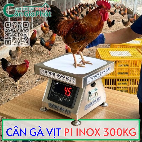 Cân điện tử inox P1 100kg 200kg 300kg cân gà vịt chống nước và chốt số