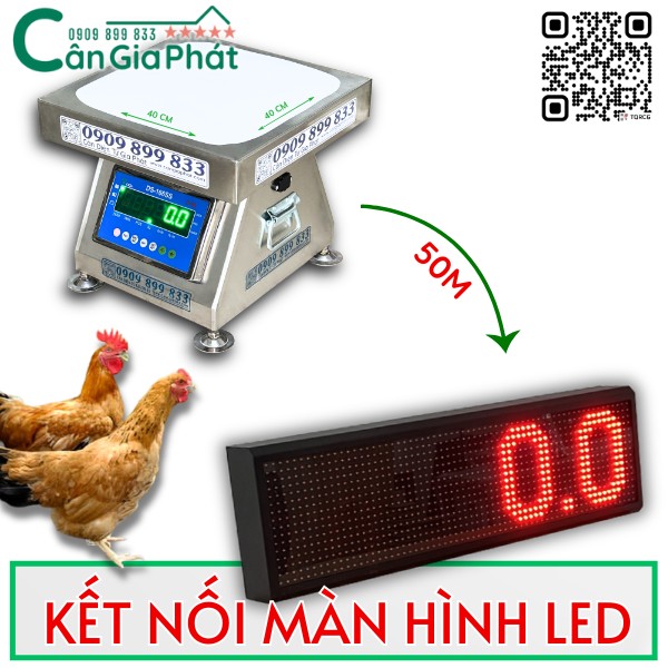 HƯỚNG DẪN KẾT NỐI MÀN HÌNH LED LỚN VỚI CÂN GÀ VỊT GIA PHÁT