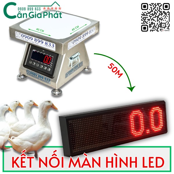 HƯỚNG DẪN KẾT NỐI MÀN HÌNH LED LỚN VỚI CÂN GÀ VỊT GIA PHÁT