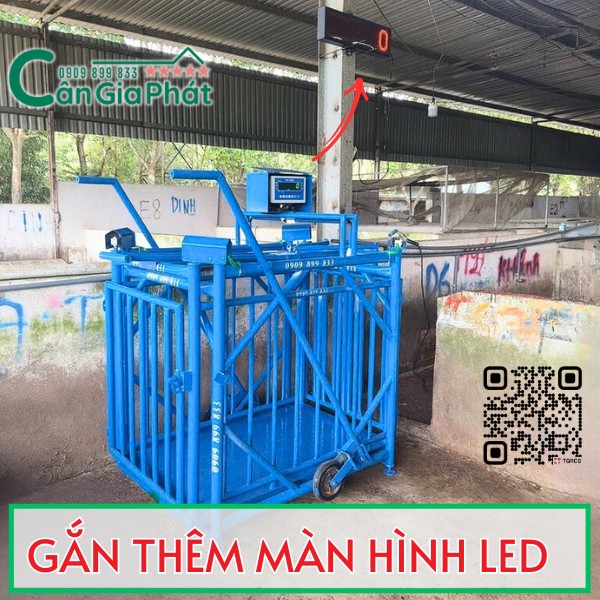 LẮP THÊM MÀN HÌNH LED LỚN TREO TƯỜNG CHO CÂN HEO