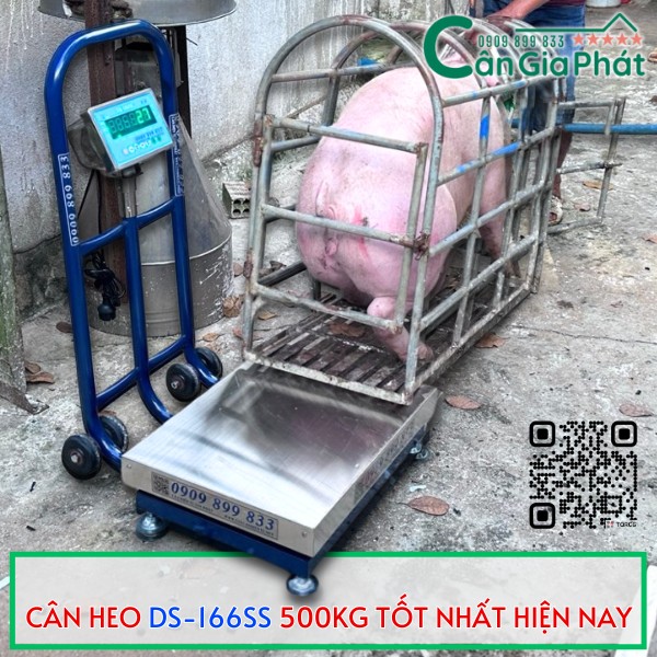 CÂN HEO GIA ĐÌNH DS-166SS 500KG TỐT NHẤT HIỆN NAY
