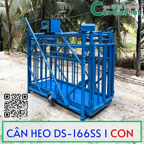 CÂN HEO CẢM BIẾN TRÊN DS-166SS TỐT NHẤT HIỆN NAY