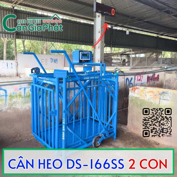 CÂN HEO CẢM BIẾN TRÊN DS-166SS TỐT NHẤT HIỆN NAY