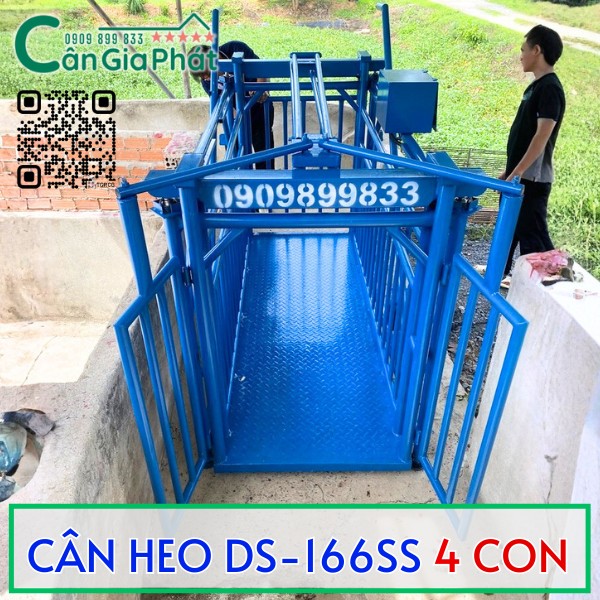 CÂN HEO CẢM BIẾN TRÊN DS-166SS TỐT NHẤT HIỆN NAY