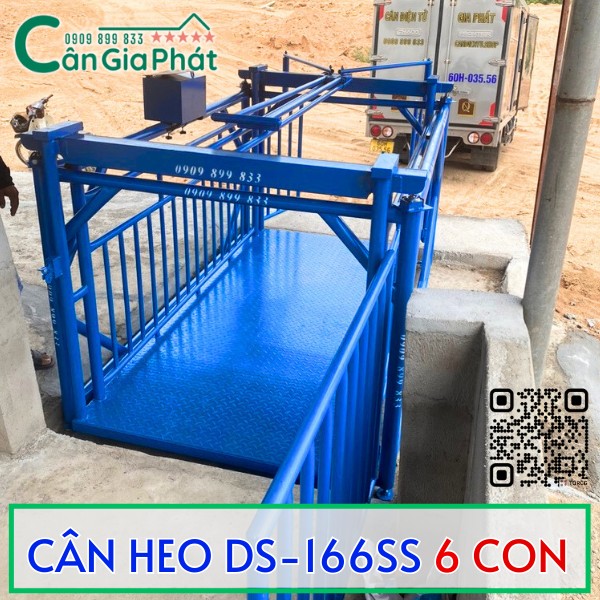 CÂN HEO CẢM BIẾN TRÊN DS-166SS TỐT NHẤT HIỆN NAY