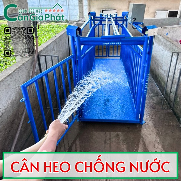 Cân heo điện tử chống nước bền bĩ nhất hiện nay