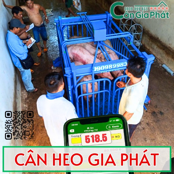 Cân điện tử cân heo cảm biến trên cân 1 con 2 con 4 con 5 con 6 con 10 con