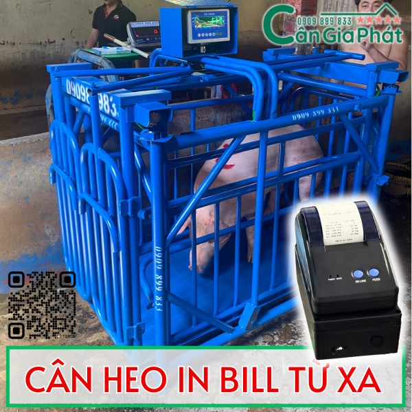 CÂN ĐIỆN TỬ CÂN HEO IN BILL TỪ XA