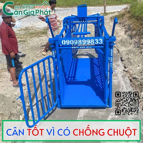 CÂN HEO CẢM BIẾN TRÊN DS-166SS TỐT NHẤT HIỆN NAY