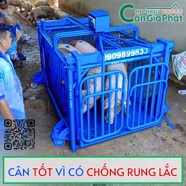 CÂN HEO CẢM BIẾN TRÊN DS-166SS TỐT NHẤT HIỆN NAY