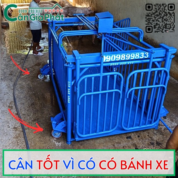 CÂN HEO CẢM BIẾN TRÊN DS-166SS TỐT NHẤT HIỆN NAY