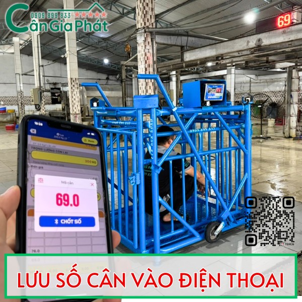 CÂN HEO CẢM BIẾN TRÊN DS-166SS TỐT NHẤT HIỆN NAY