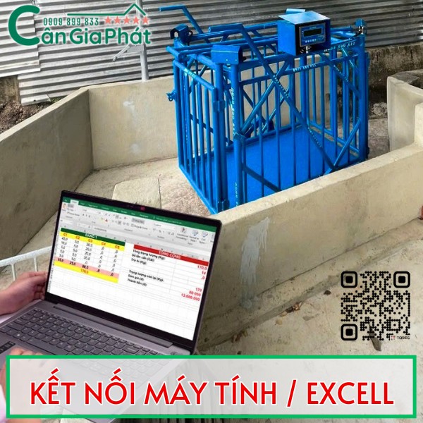 CÂN HEO CẢM BIẾN TRÊN DS-166SS TỐT NHẤT HIỆN NAY