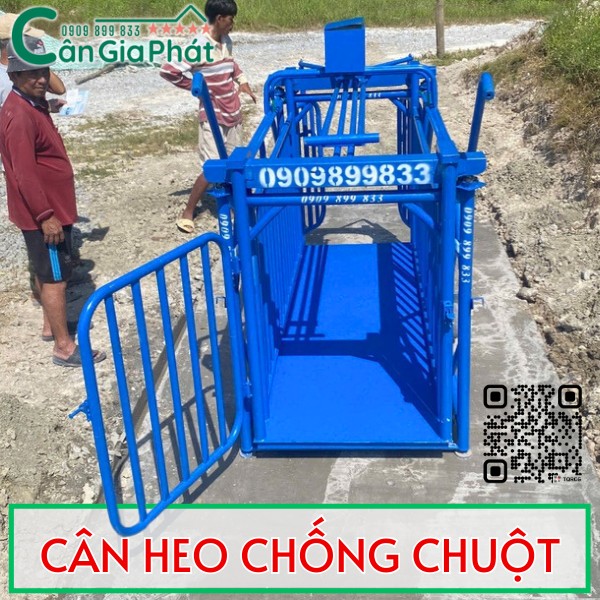 Cân điện tử cân heo Gia Phát chống chuột hiệu quả nhất hiện nay