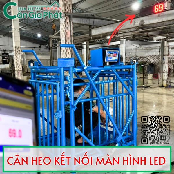 LẮP THÊM MÀN HÌNH LED LỚN TREO TƯỜNG CHO CÂN HEO