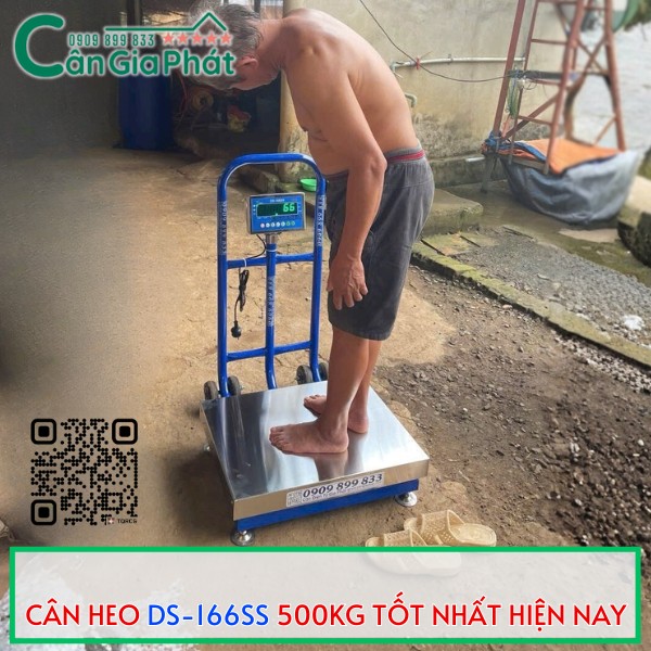 CÂN HEO GIA ĐÌNH DS-166SS 500KG TỐT NHẤT HIỆN NAY